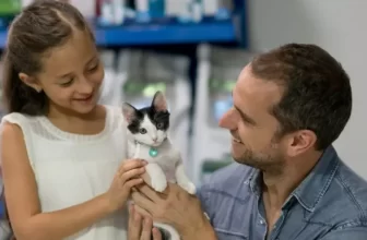 The Ultimate Checklist for Adopting a Rescue Cat