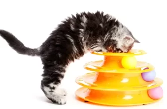 Are DIY Cat Toys as Effective as Store-Bought Ones?