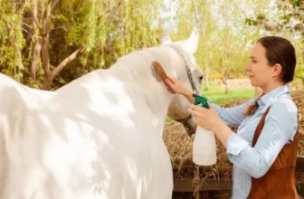 Building a Horse Grooming Kit: Everything You Need