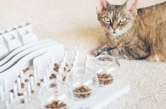 How Can Puzzle Feeders Improve Your Cat’s Mental Stimulation?