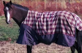 How Do You Select the Right Horse Blanket Size?