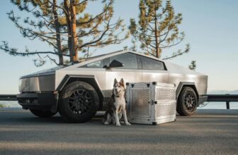 How Do You Pick the Right Dog Crate for Travel?