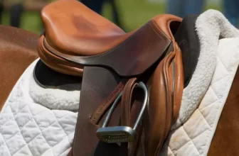 Best Practices for Cleaning and Conditioning Saddles
