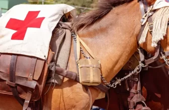 A Beginner’s Guide to Horse First Aid Kits